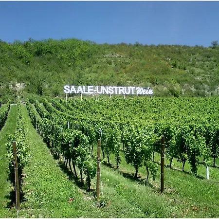 Stay!apart Gieckau Apartman