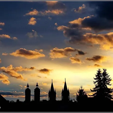 Stay!apart Gieckau *