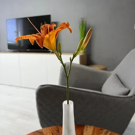 Stay!apart Gieckau アパート ナウムブルク