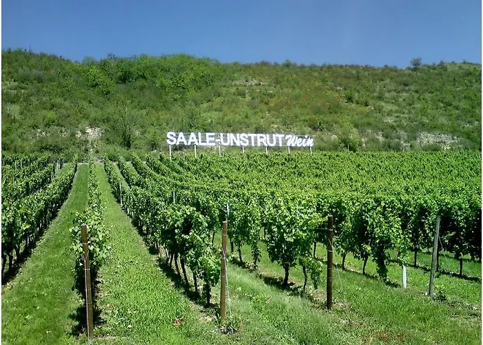 Stay!apart Gieckau Apartman