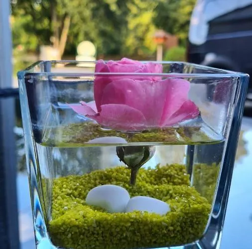 Stay!apart Gieckau ナウムブルク