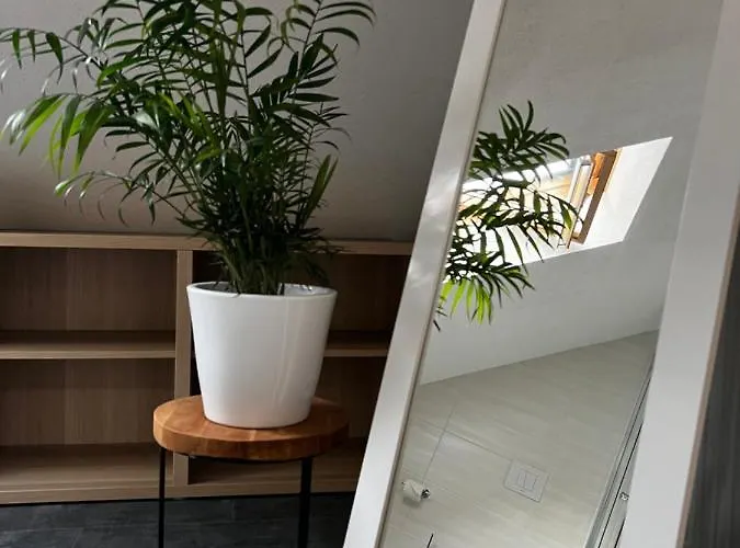 Stay!apart Gieckau Naumburg