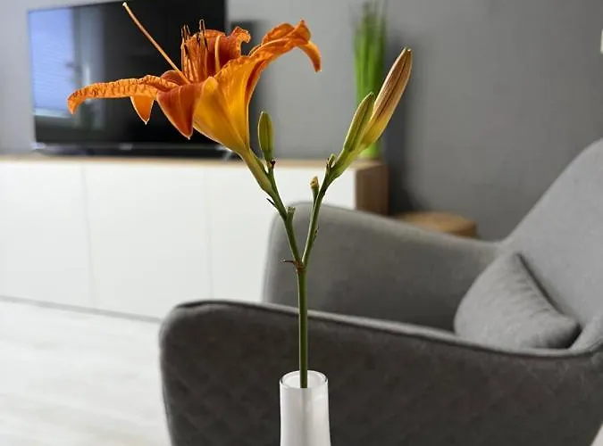 Stay!apart Gieckau Apartman Naumburg